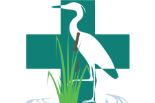 Logo for Life Coast Community Health Center Logo for Life Coast Community Health Center